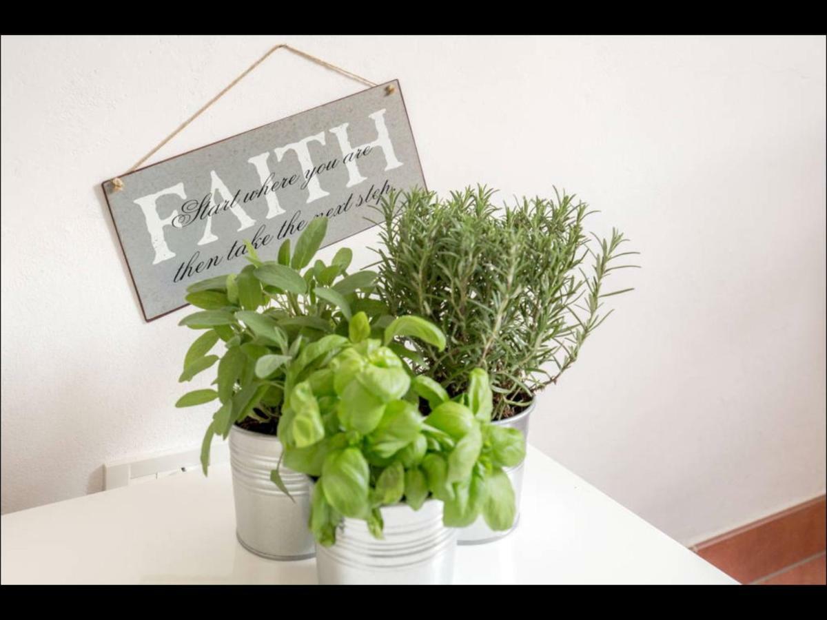Susy Apartment, Lightly And Quiet With Gardnview Apartment *